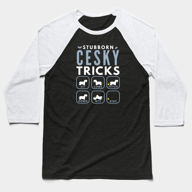 Stubborn Cesky Terrier Tricks - Dog Training Baseball T-Shirt by DoggyStyles